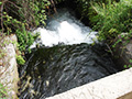 Rafting auf dem Fluss Cetina